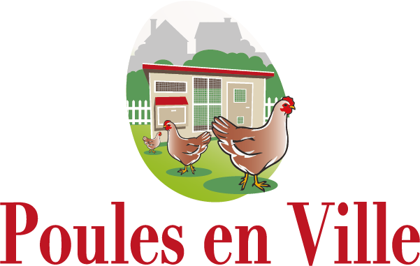 logo-pev-png-601-x-381