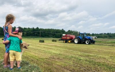Un poulailler stimulant pour vos poulettes!